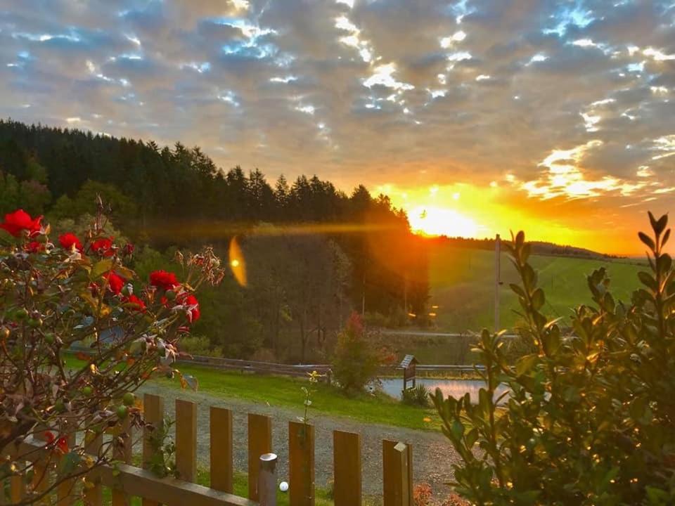 Biobauernhof Hoellerbauer Monichwald Kültér fotó